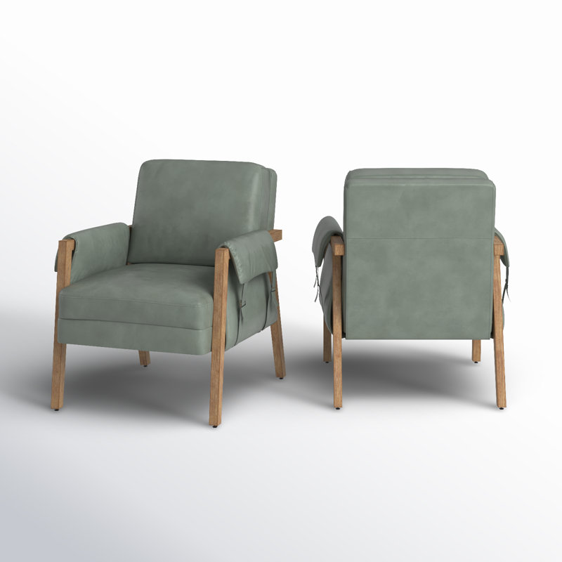 Fauteuil Arhiana, Sauge