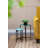 Set of 4 Multicolor Nesting Plant Stands, Versatile and Space-Saving for Modern Decor and Plant Display
