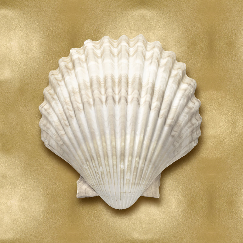 Ocean Gem On Gold IV by Caroline Kelly - Wrapped Canvas Print, 30cm H x 30cm W
