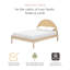 Moab Full Bed-692350010-692350013