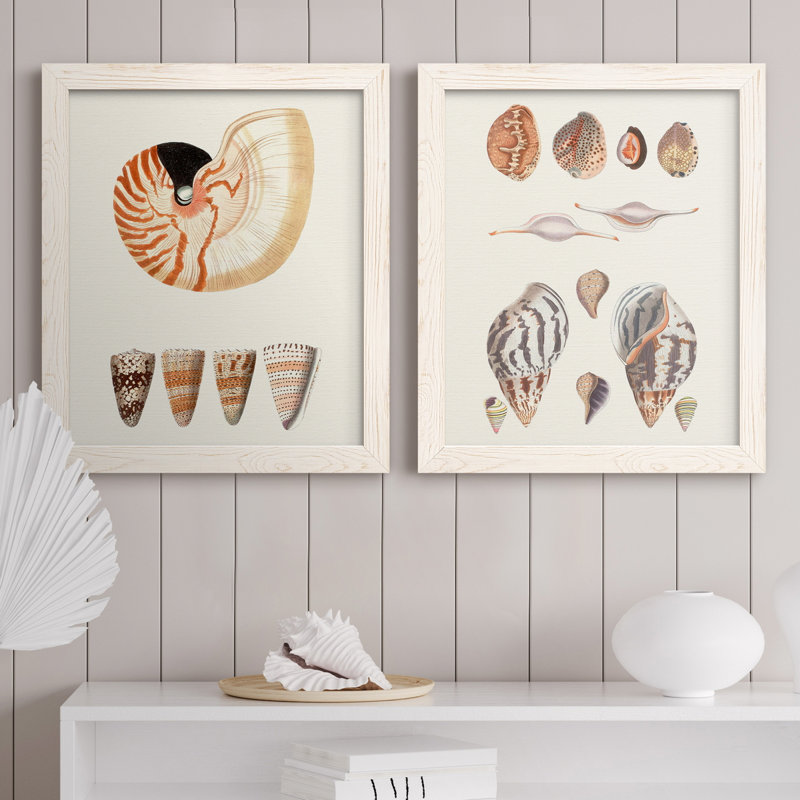 Toile encadrée IP Shell de la collection Shell - prête à être accrochée, Toile blanche encadrée, H 20 po x l 17 po x P 1 po