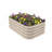 Planter-1348344875