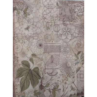 Botanical Relic Designer Printed Aida Fabric by Alisena KF-1263A