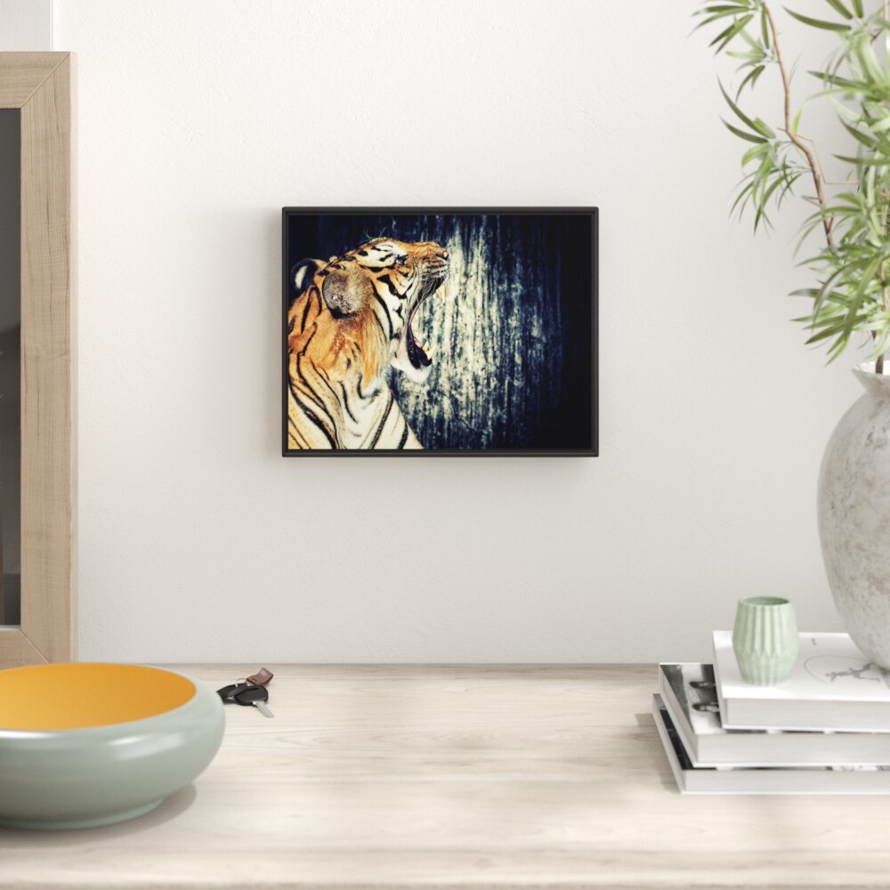 Gerahmtes Wandbild Roaring Tiger