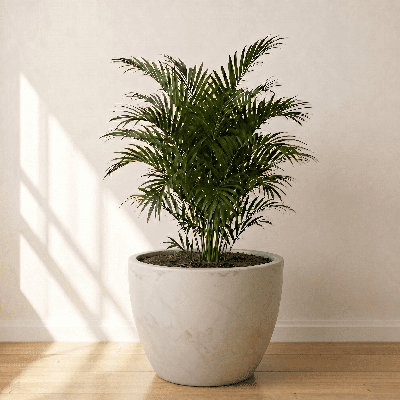 ECOBO Eco-Friendly Round Pot Planter, VicenzaIndoor/Outdoor use,Four Season Use