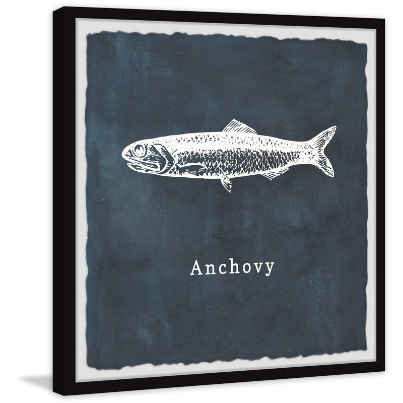 Anchovy - Single Picture Frame Print, 30cm H x 30cm W x 3.81cm D