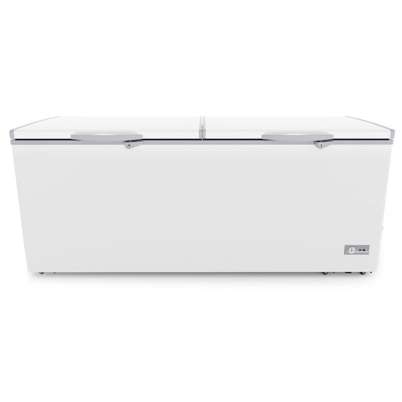 20 pieds cubes Double congélateur de présentoir de coffre avec portes et serrure Saft