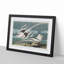 Tropicbirds by John James Audubon - Framed Print-55642287-55642288