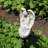 Handles Resin Solar Powered Resin Pathway Light
