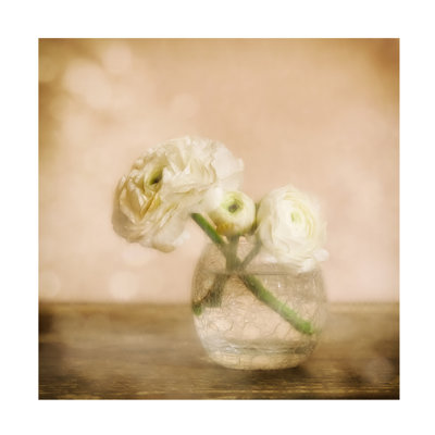 Marie-Anne Stas  Renoncules Canvas Art