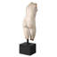 Goddess Venus People Statue