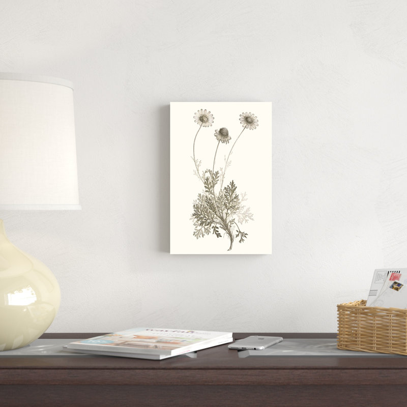 «Neutral Botanical Study VIII», peinture sur toile, H 12 po x l 8 po