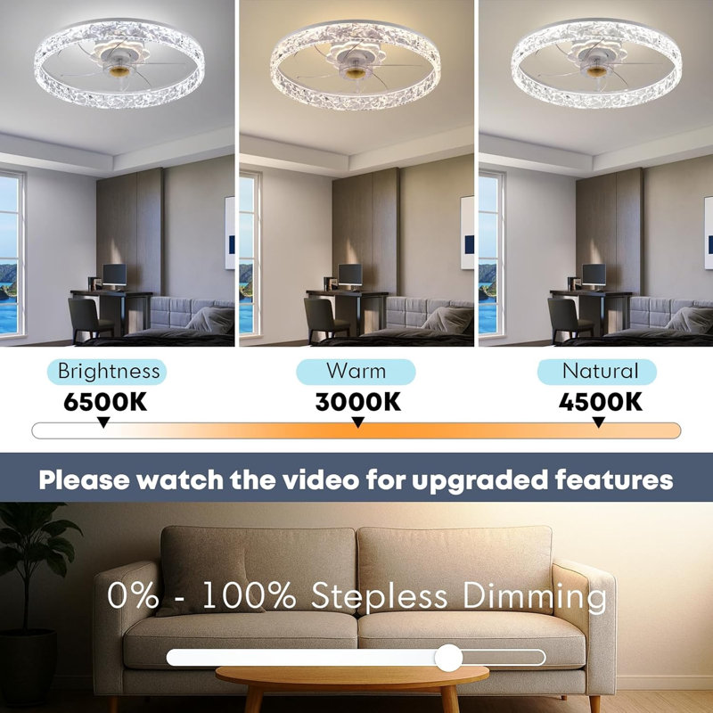 Ceiling Fan With Light