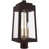 Black Light Bronze