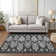 Lummus Southwestern Indoor / Outdoor Rug