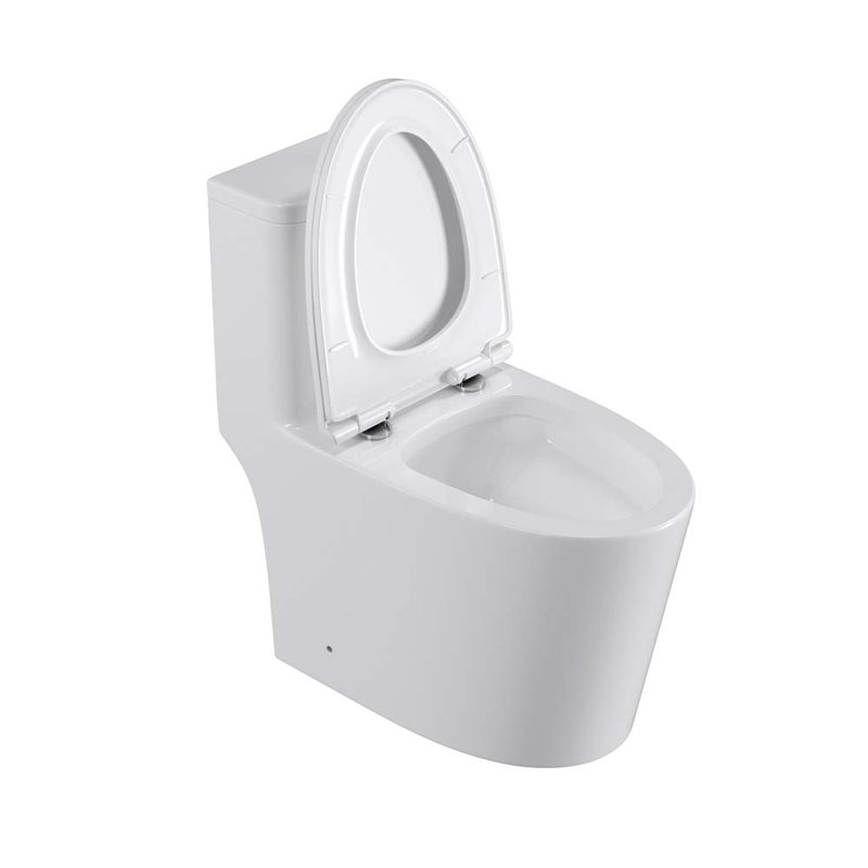 Toilette allongée une pièce 1,6 GPF Tusuton, Blanc