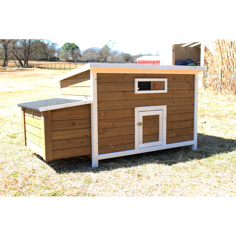 Brown and White Wooden Chicken Coop with Nesting Box