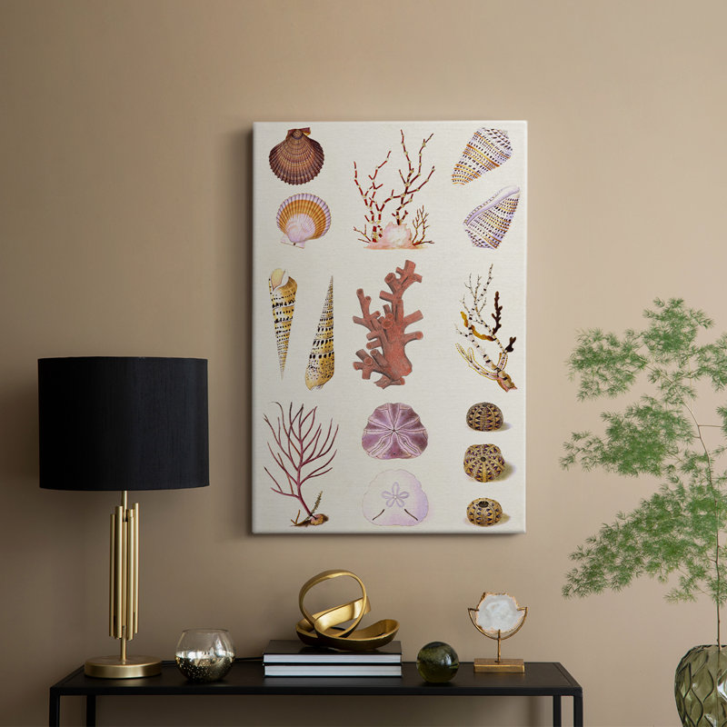 Coral & Shell Collage II - galerie Cavas sur mesure, H 18 po x l 12 po