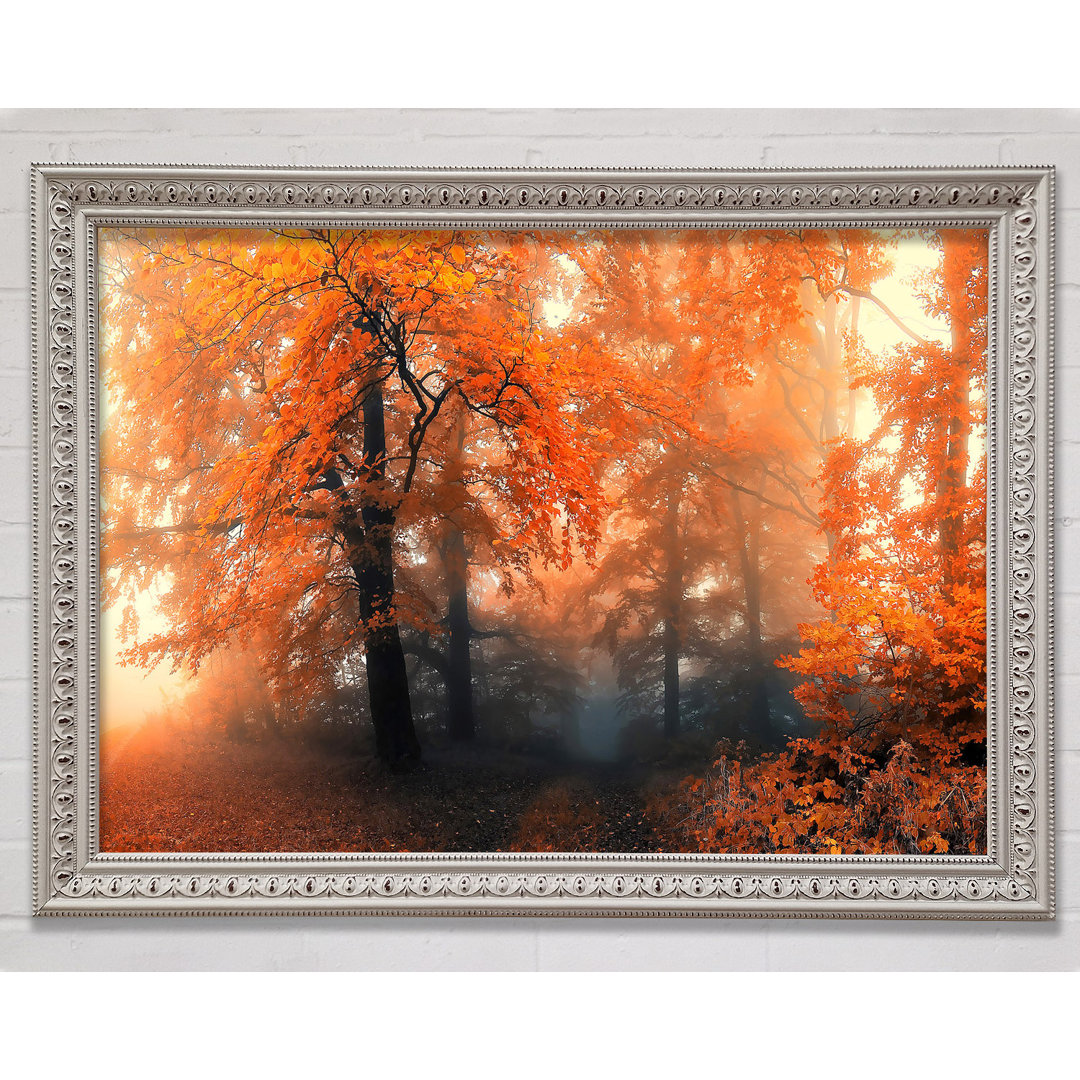 Herbst Orange Mist - Einzelne Bilderrahmen Kunstdrucke