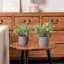 2 - Piece Artificial Plant Set