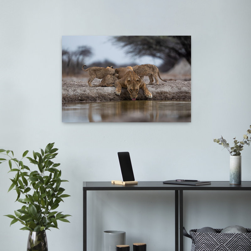 Print, 40.64cm H x 60.96cm W