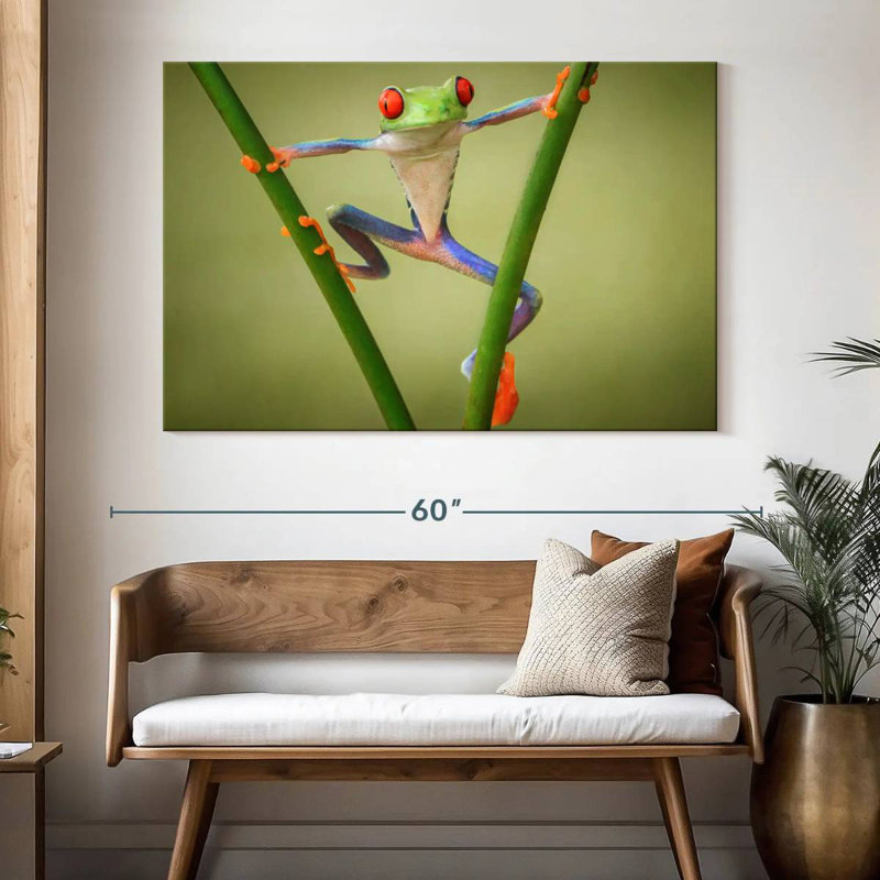 Frog Show Off, 34" H x 51" W