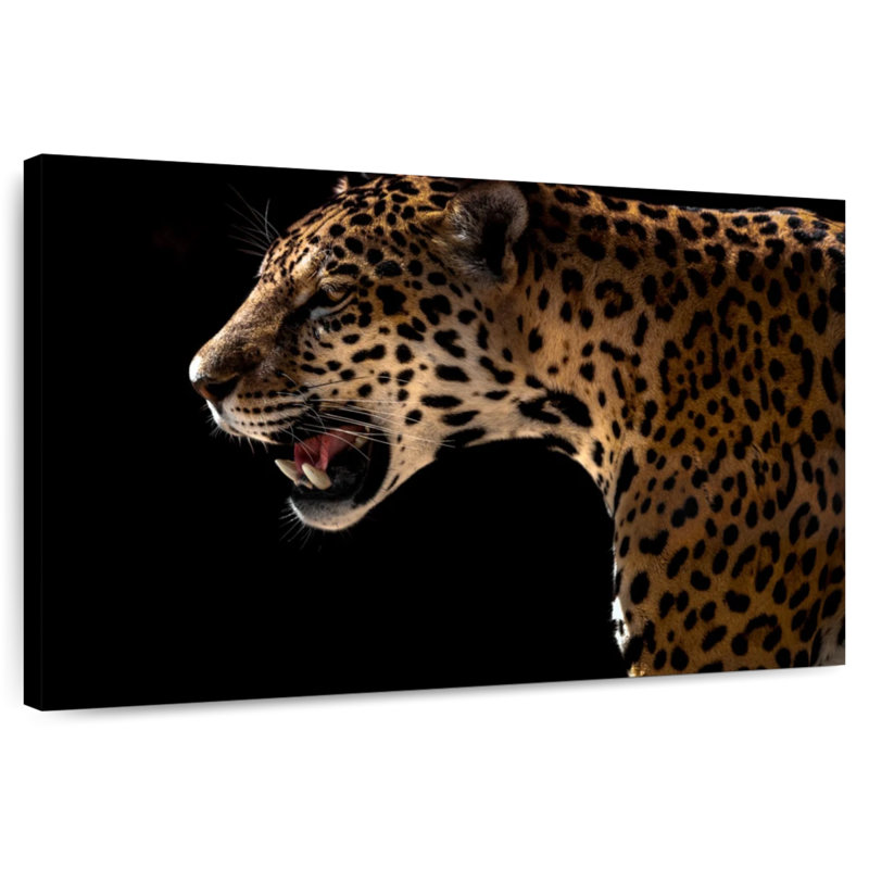 Brampt Midnight Leopard Hunt, 24" H x 36" W