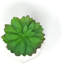 Fausse plante grasse en céramique 4,7 po-1798606580