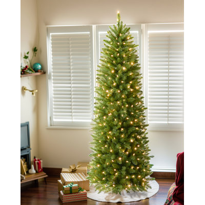 Lighted Christmas Tree