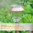 Solar Lights Outdoor-1519514830