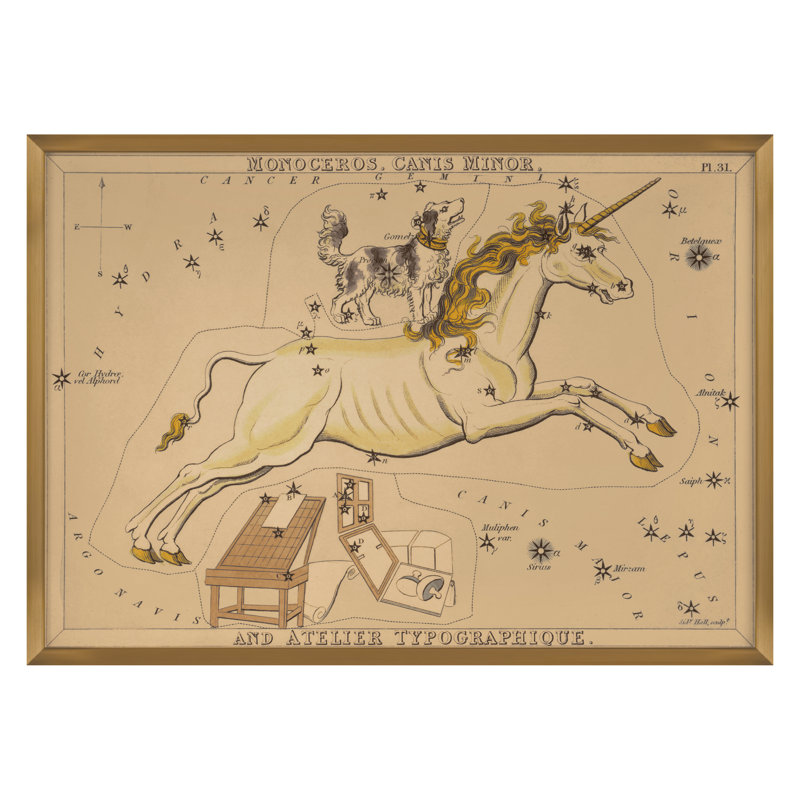 Monoceros Print by Grand Archives, 32" H x 45" W, Gold Framed