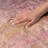Premium Machine Washable Dream Shag ADS552 Striped Rug-634539600-634539595