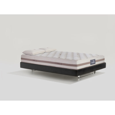 Coton Lux 10 simple TG
