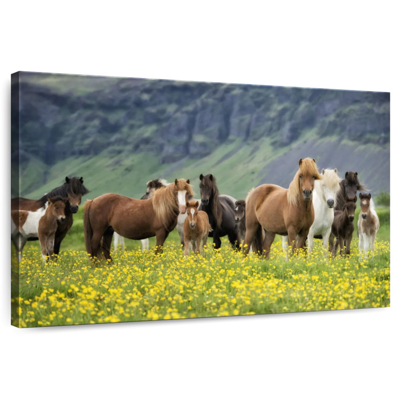 Icelandic Horses I, 8" H x 12" W