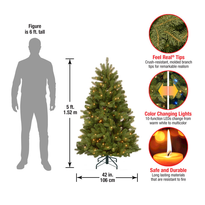 The Holiday Aisle® Newberry Spruce Tree with Dual Color LED Lights, 5' H