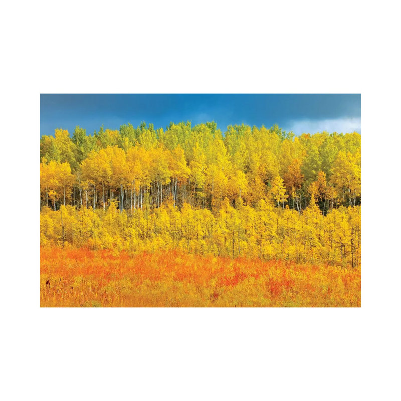 Canada, Saskatchewan, Meadow Lake. Autumn-colored Trees. by Jaynes Gallery - Wrapped Canvas Gallery-Wrapped Canvas Giclée