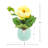 Peony in Ceramic Vase