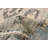 Jules Serapi Grey Rug 8'0" x 9'10"