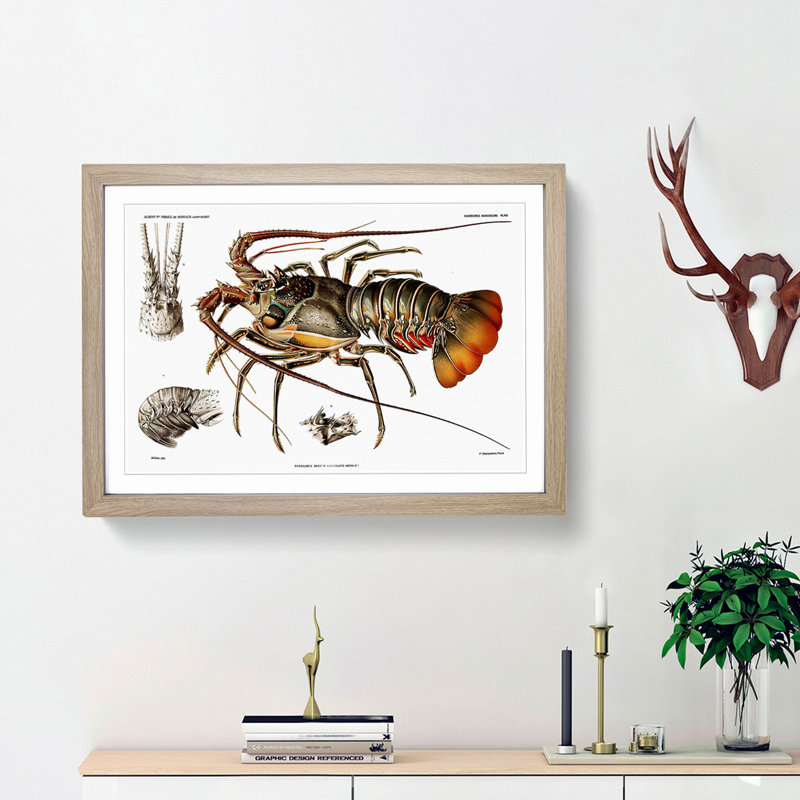 European Lobster by Albert I - Picture Frame Painting Print, 48cm H x 65cm W x 2cm D, Oak Framed