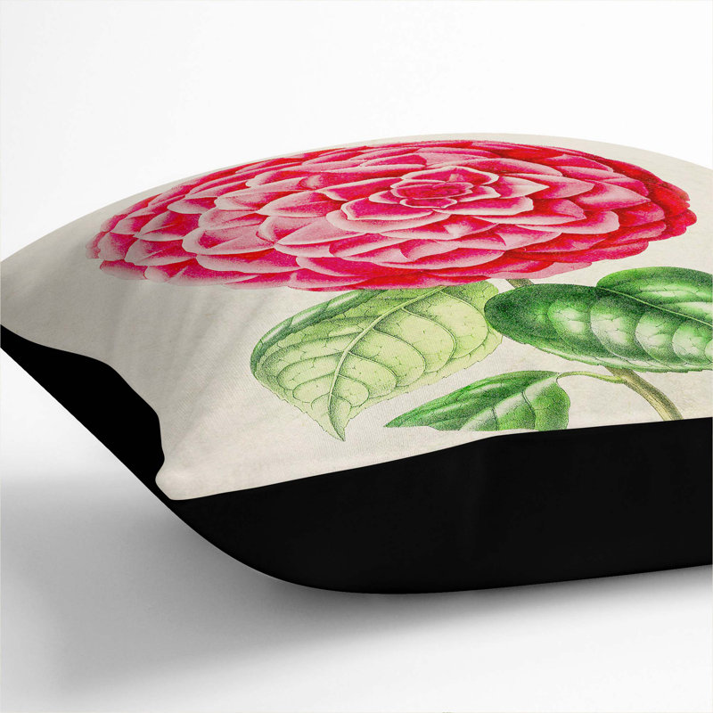 Bright Pink Camellia Flower Illustration Floral Square Throw Cushion, 55cm H x 55cm W x 20cm D, Black