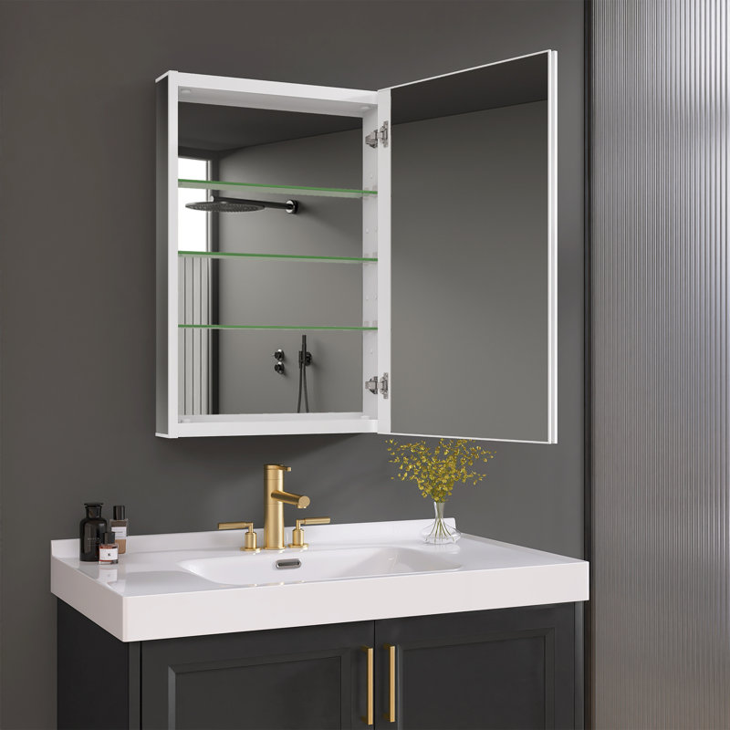 Armoire à pharmacie avec miroir encastrable ou à fixation en surface 20 po x 30 po avec rangement en aluminium et 3 tablettes réglables en verre