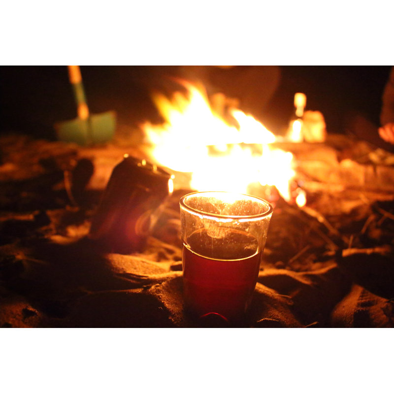 Camp Fire In Desert by Tmprtmpr - Wrapped Canvas Print, 30cm H x 46cm W