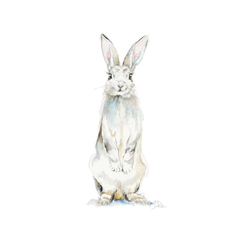 Cute Rabbit by Patricia Pinto - Wrapped Canvas Gallery-Wrapped Canvas Giclée, 30.48cm H x 20.32cm W