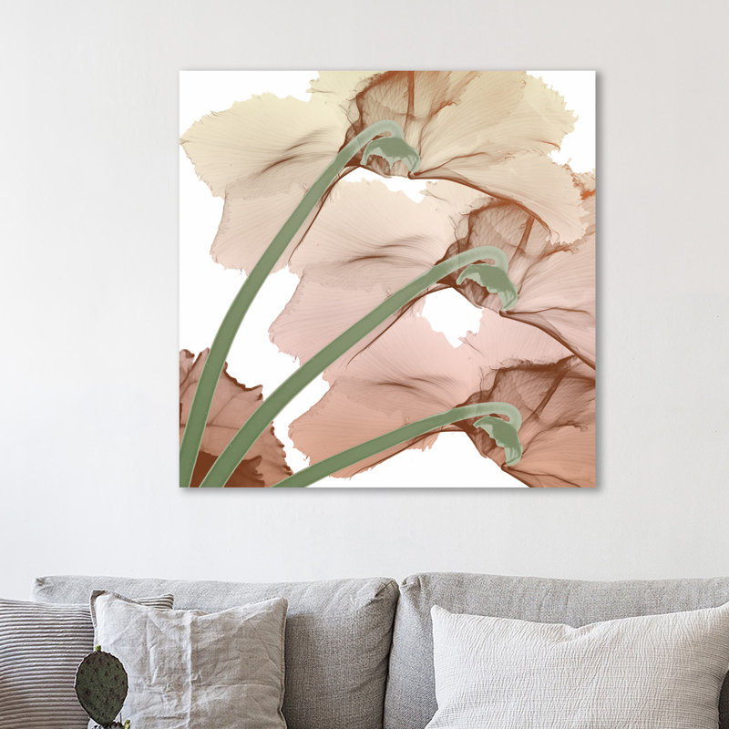 Peach Luster Cyclamen - Wrapped Canvas Print, 91 cm H x 91 cm W