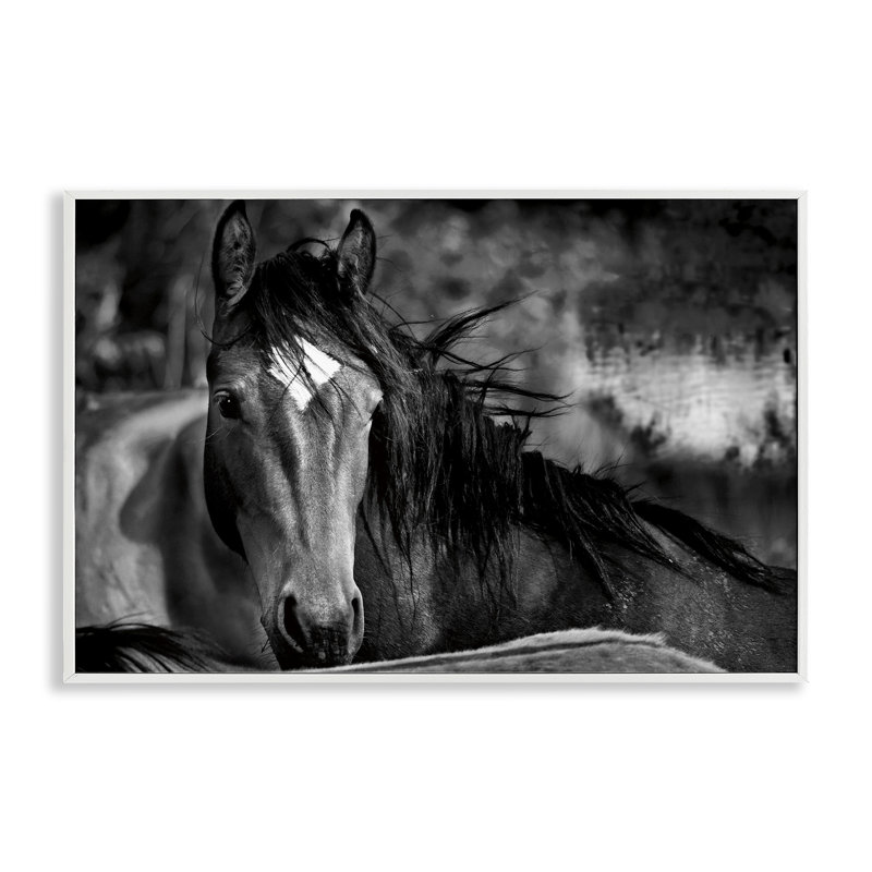Giclée encadrée d'un cheval de présence, conception par Wendy Caro, H 12 po x l 18 po