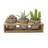 Ceramic Pot Planter