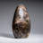 Genuine Polished Black Moonstone Freeform from Madagascar (3.2 Lbs)-103621591-103621592