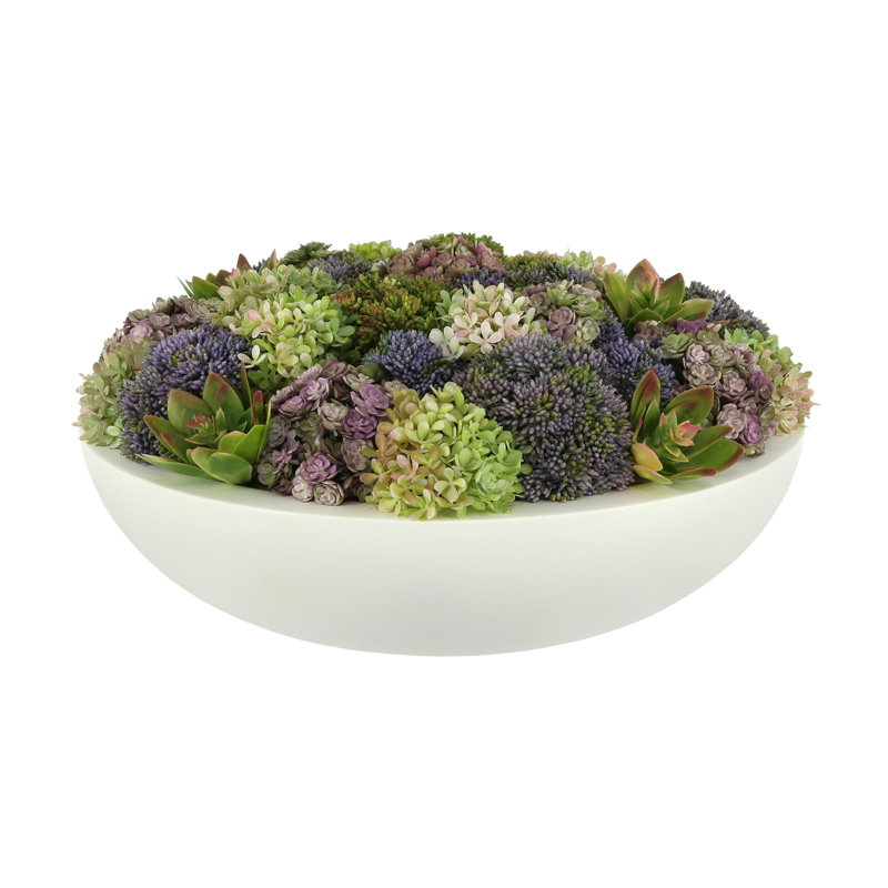 Assorted Sedum and Succulent Arrangement in Round Planter
