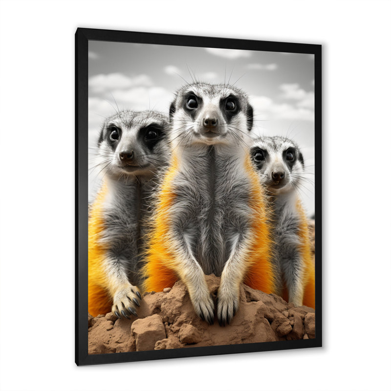 Reproduction sur toile Zikomo, Cadre photo noir, H 44 po x l 34 po x P 1,5 po