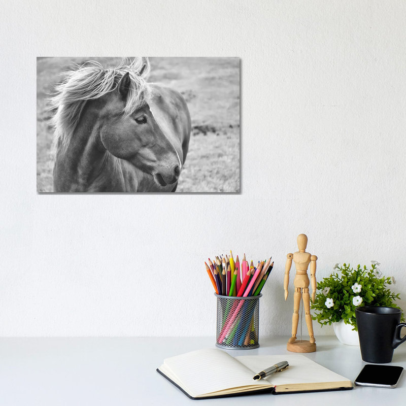 «Icleandic Pony in Black and White» par Michelee Scott - photographie sur toile tendue, H 8 po x l 12 po x P 0,75 po